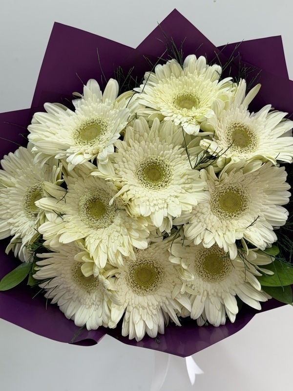 Beyaz Gerbera Buketi